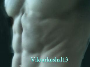 Viktarkushal13