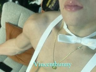 Vincentbunny