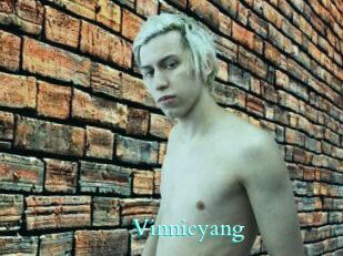 Vinnieyang