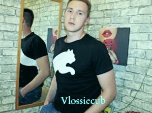 Vlossiecub