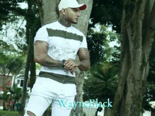 WayneBlack