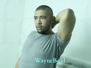 WayneBoyI