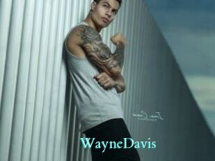 WayneDavis
