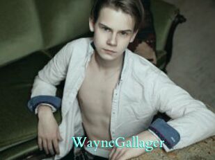 WayneGallager