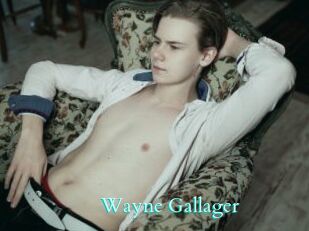 Wayne_Gallager