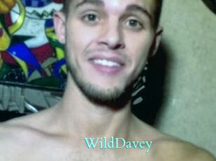 WildDavey