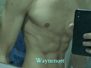 Waynenort
