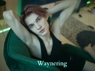waynering Free Gay Porn Finder