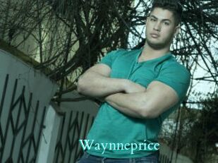 Waynneprice