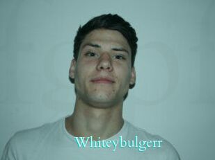 Whitey_bulgerr