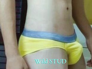 Wild_STUD