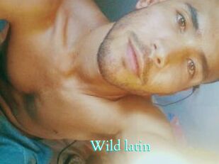 Wild_latin