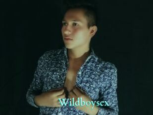 Wildboysex