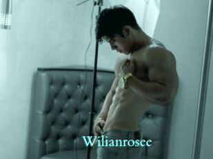 Wilianrosee