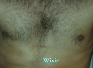 wixie Free Gay Porn Finder