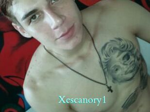 Xescanory1