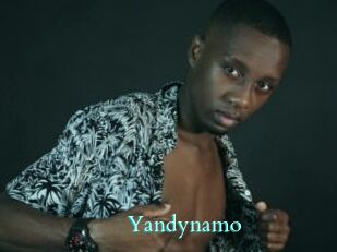 Yandynamo