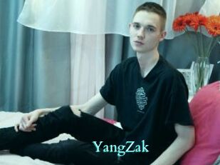 YangZak