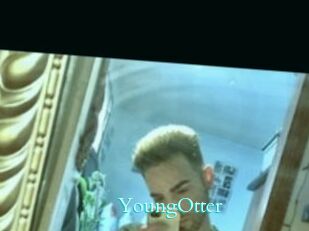 YoungOtter