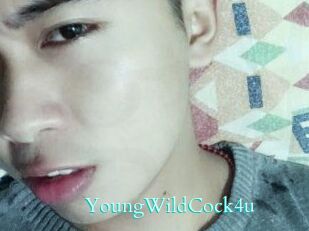 YoungWildCock4u