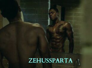 ZEHUS_SPARTA
