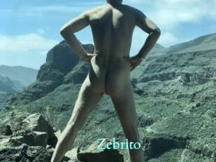 Zebrito