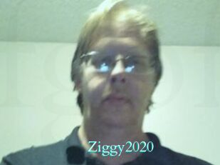 Ziggy2020