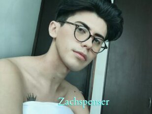 Zachspenser