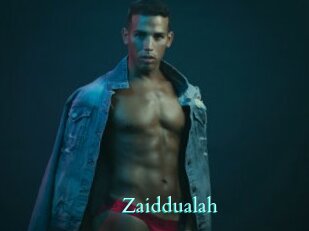 Zaiddualah