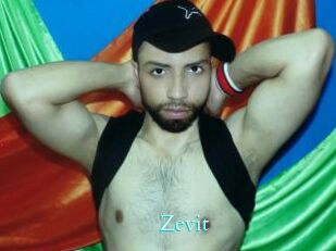 Zevit
